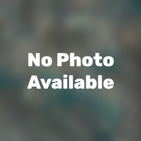 Image of Bethany Basse, Paraprofessional at Damiansville Elementary